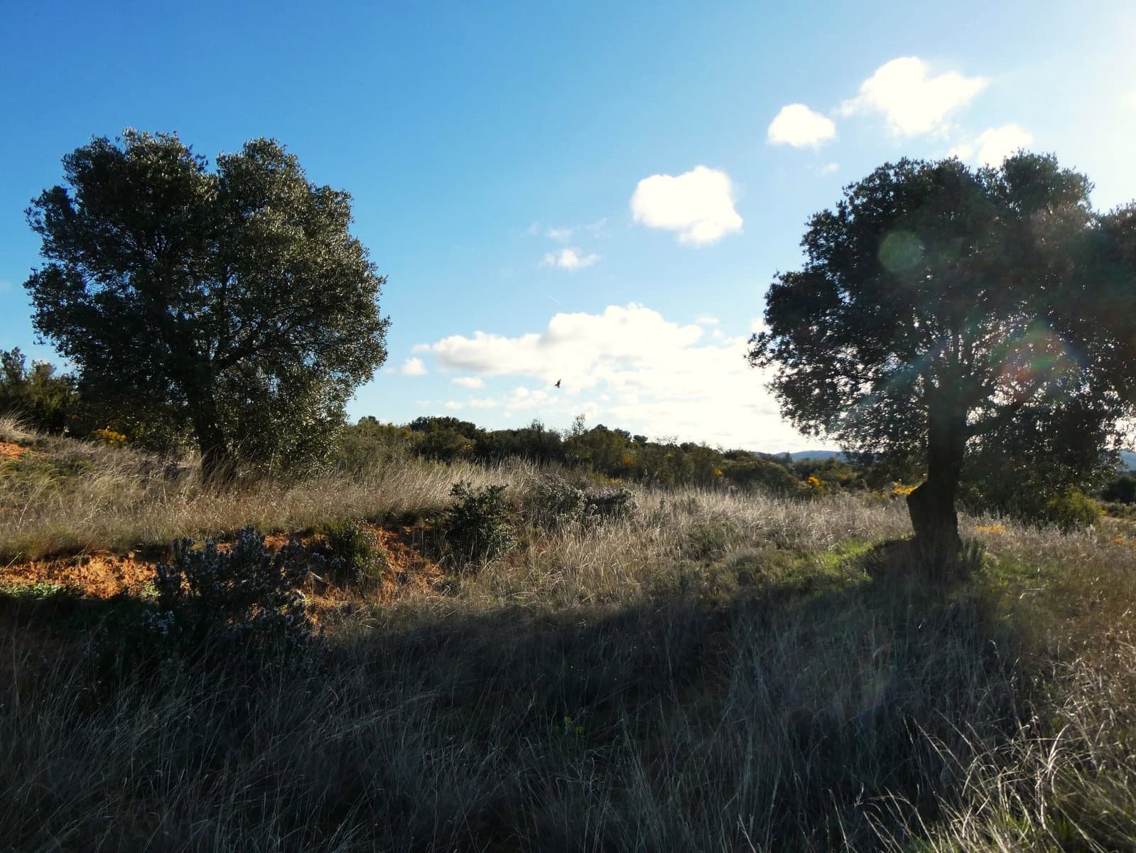 Finca/Landehus til salg i Fabara - € 12.500 (Ref: 9694057)