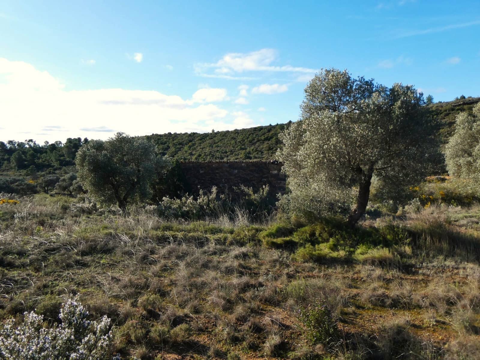 Finca/Landehus til salg i Fabara - € 12.500 (Ref: 9694057)
