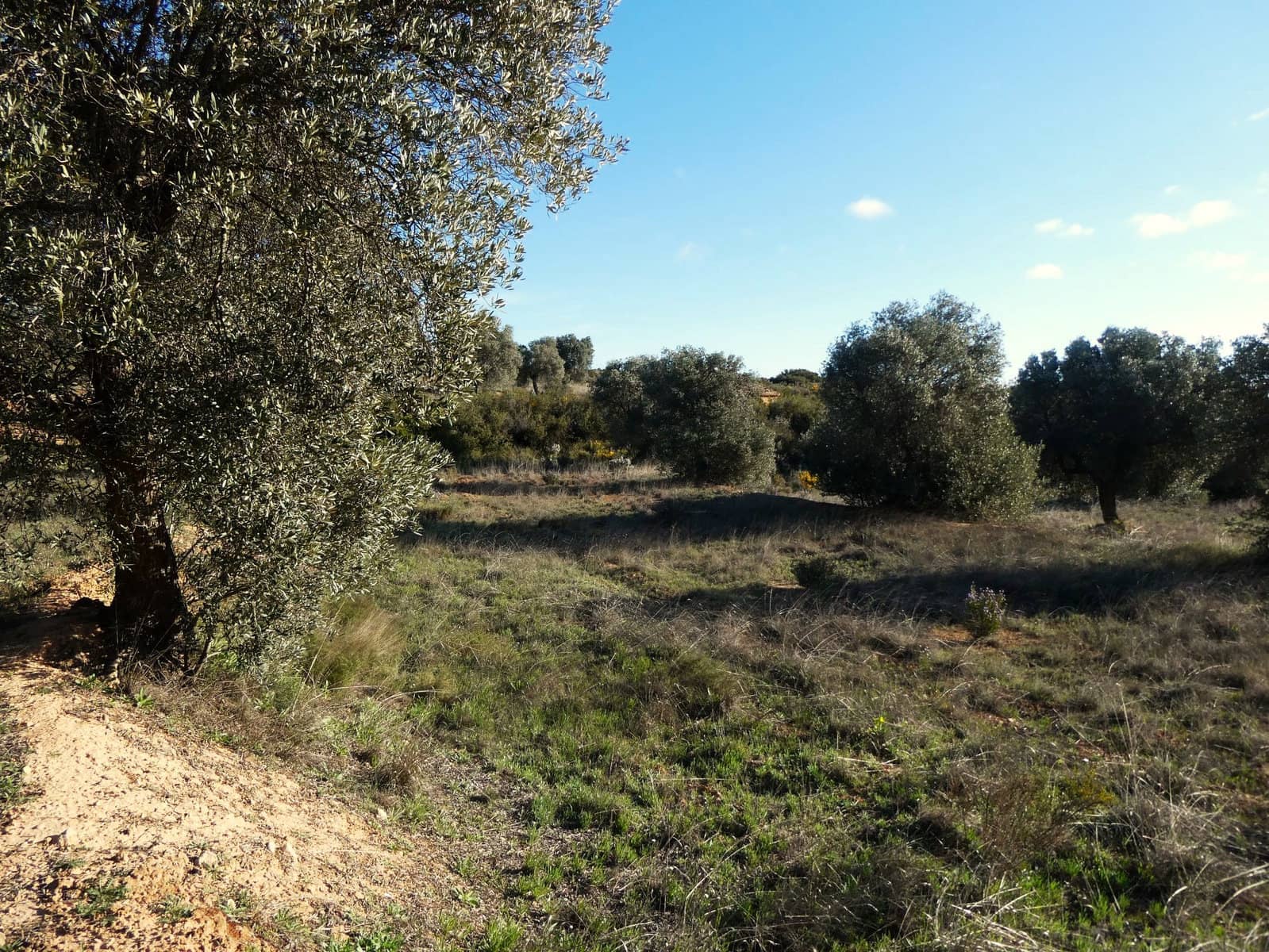 Finca/Landehus til salg i Fabara - € 12.500 (Ref: 9694057)