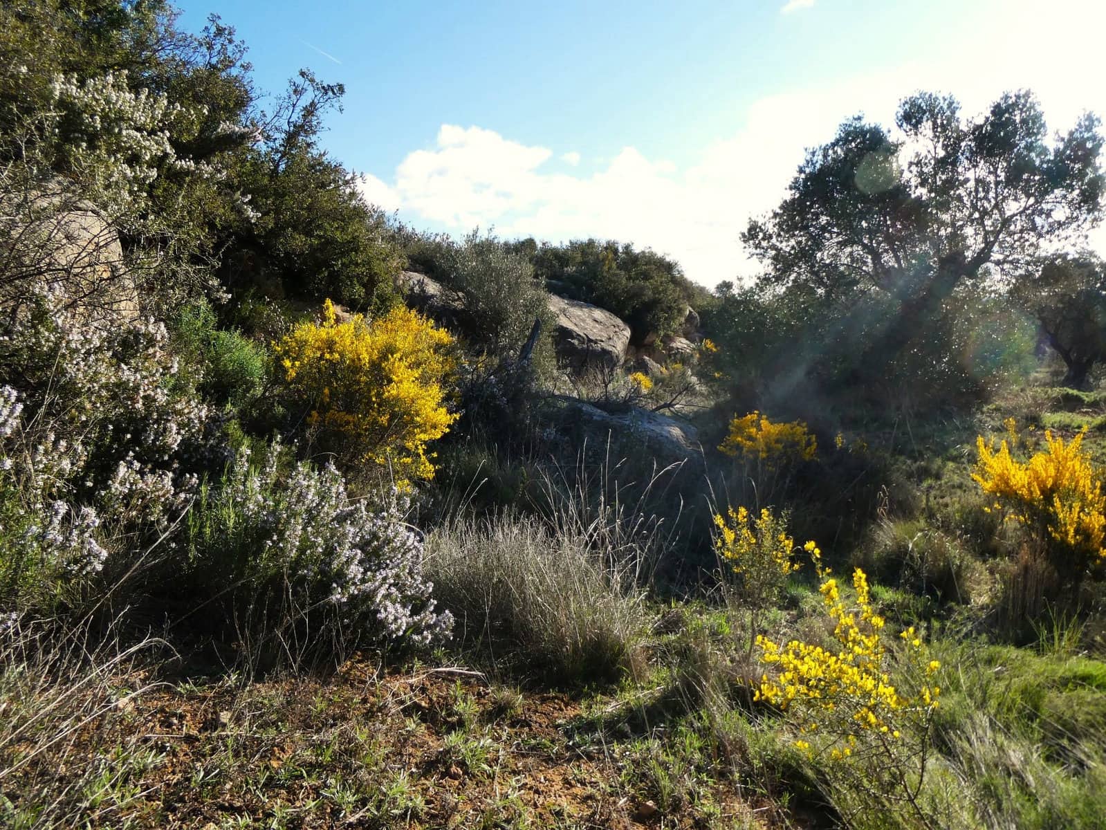 Finca/Landehus til salg i Fabara - € 12.500 (Ref: 9694057)