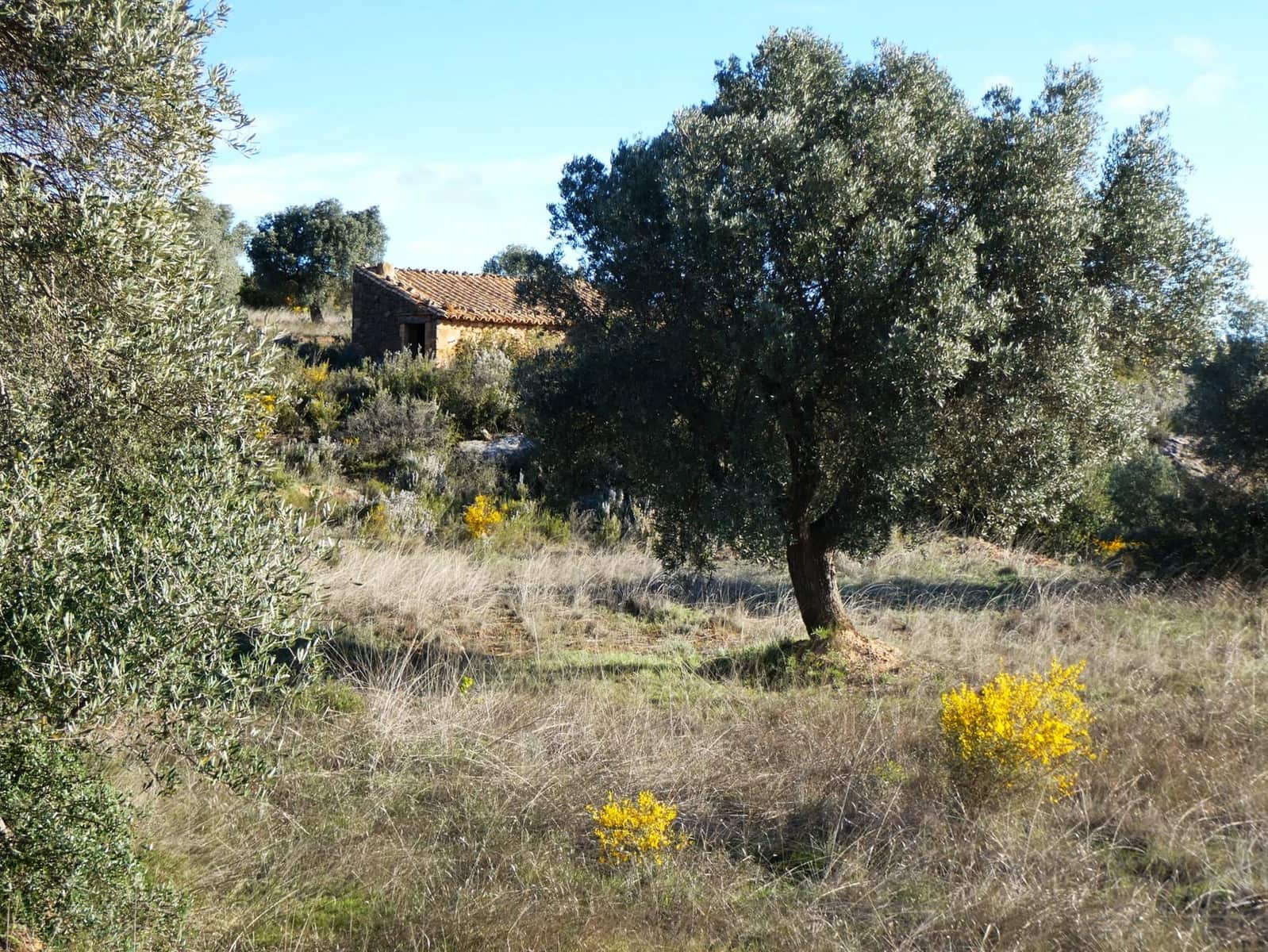 Finca/Landehus til salg i Fabara - € 12.500 (Ref: 9694057)