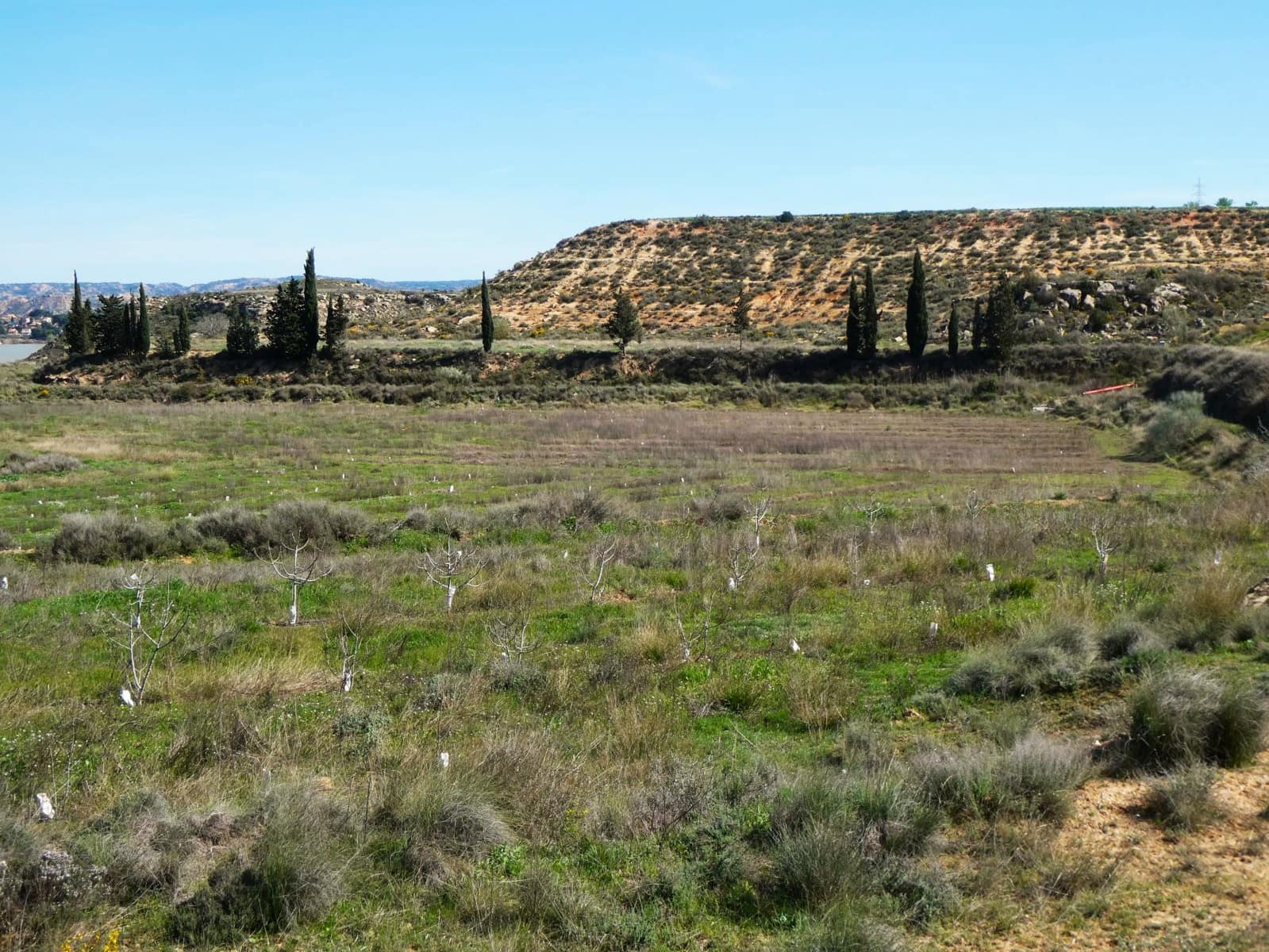 4 bedroom Finca/Country House for sale in Caspe with garage - € 98,000 (Ref: 9697836)