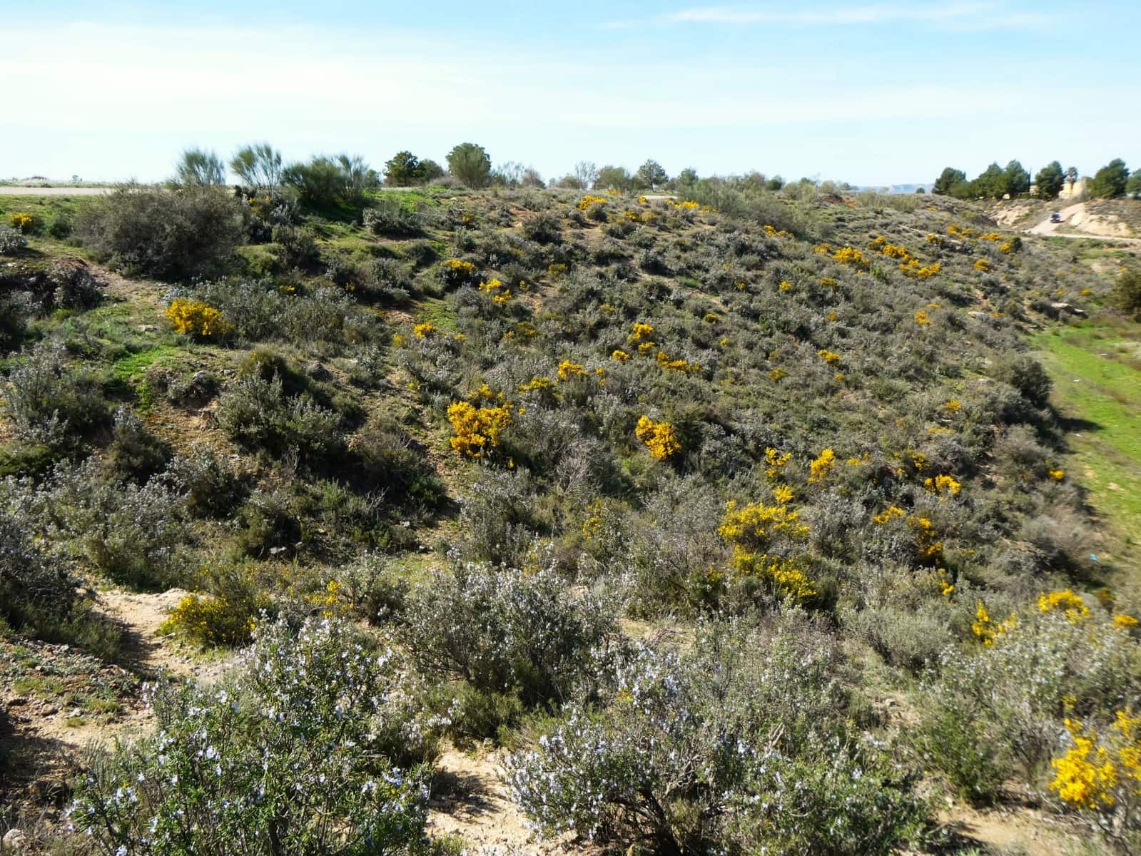 4 bedroom Finca/Country House for sale in Caspe with garage - € 98,000 (Ref: 9697836)