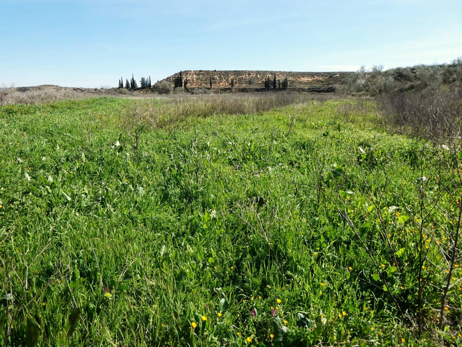 4 bedroom Finca/Country House for sale in Caspe with garage - € 98,000 (Ref: 9697836)