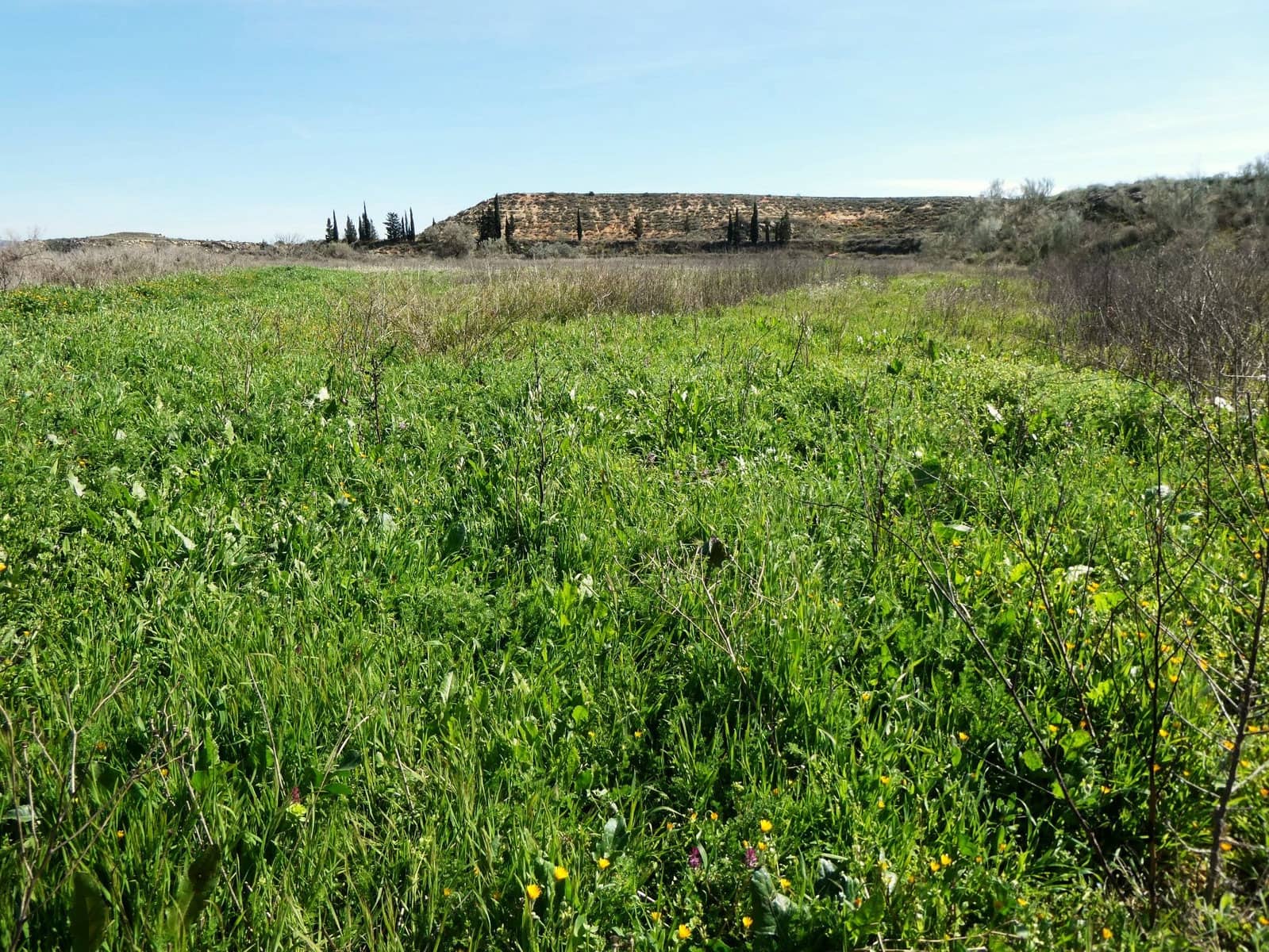 4 soveværelse Finca/Landehus til salg i Caspe med garage - € 89.000 (Ref: 9697836)