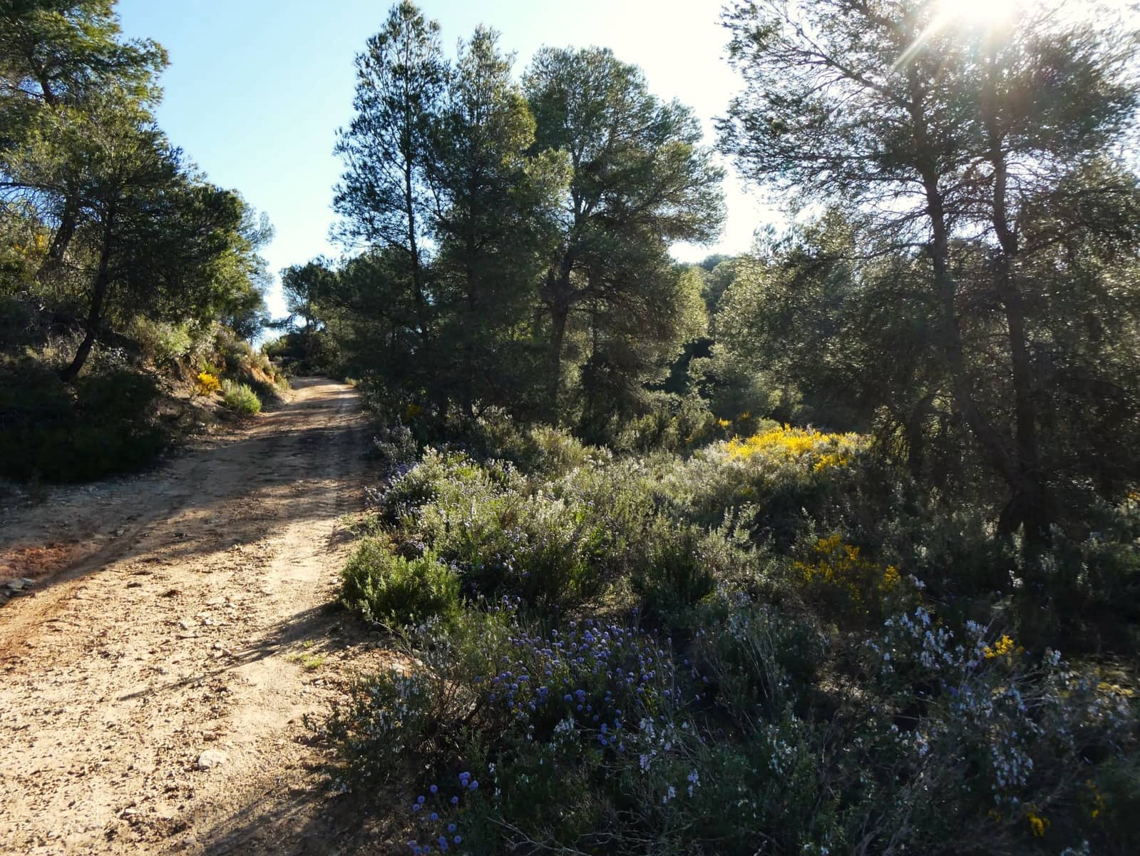 Quinta/Casa Rural para venda em Batea - 59 000 € (Ref: 9725121)