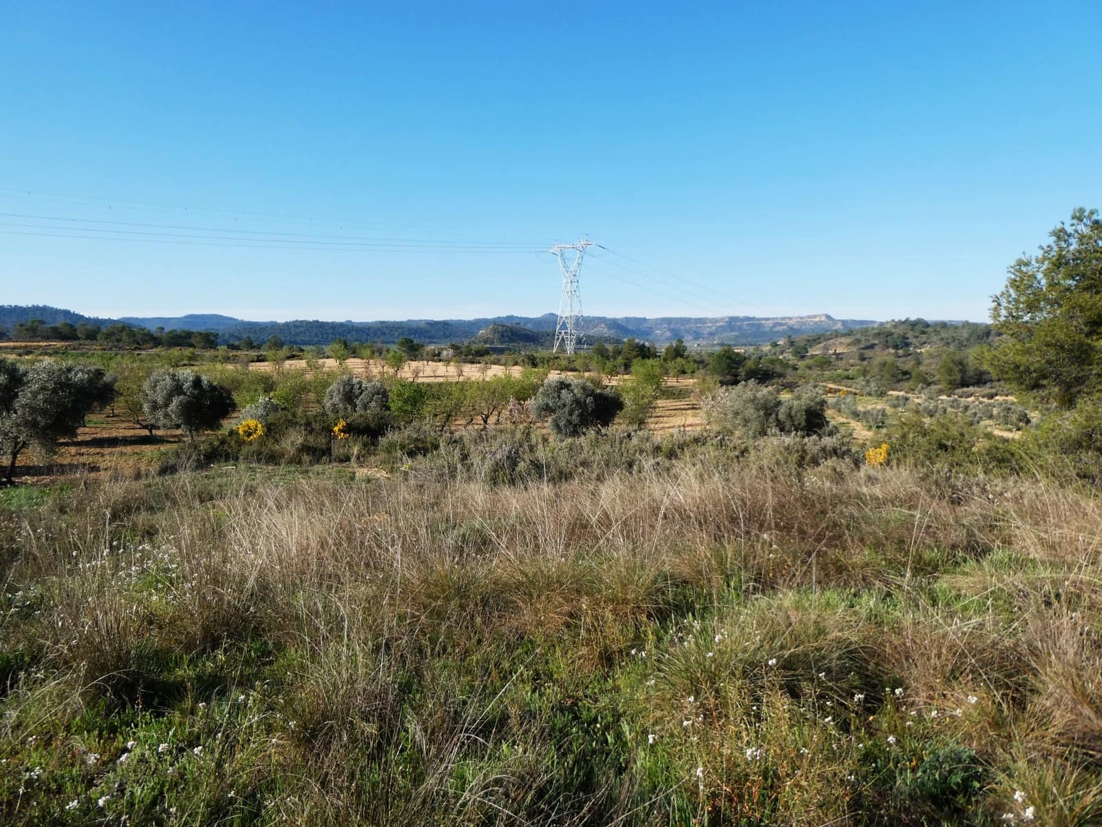 Quinta/Casa Rural para venda em Batea - 59 000 € (Ref: 9725121)