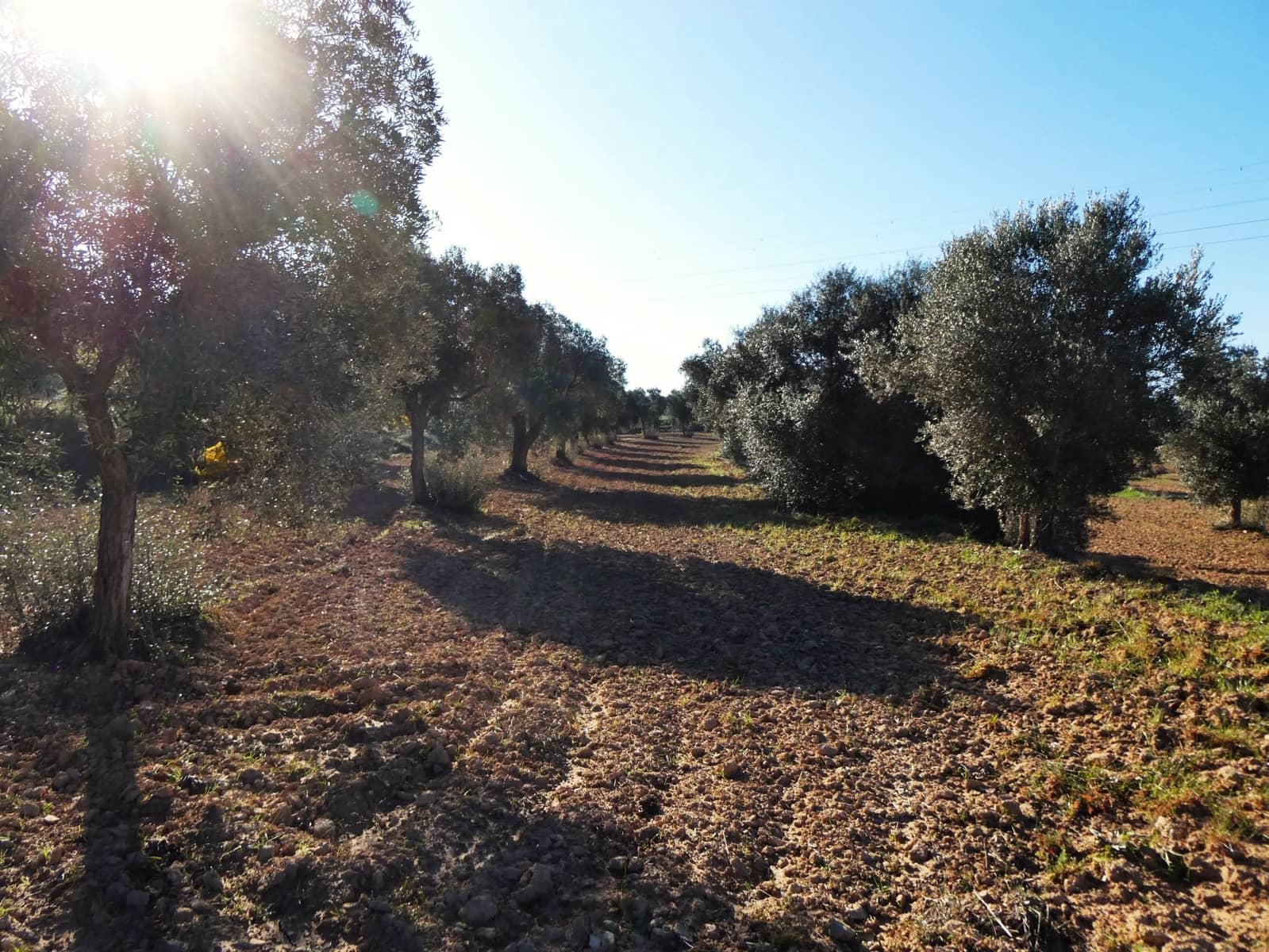 Quinta/Casa Rural para venda em Batea - 59 000 € (Ref: 9725121)