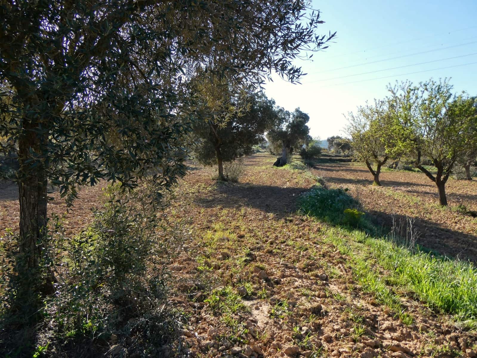 Quinta/Casa Rural para venda em Batea - 59 000 € (Ref: 9725121)