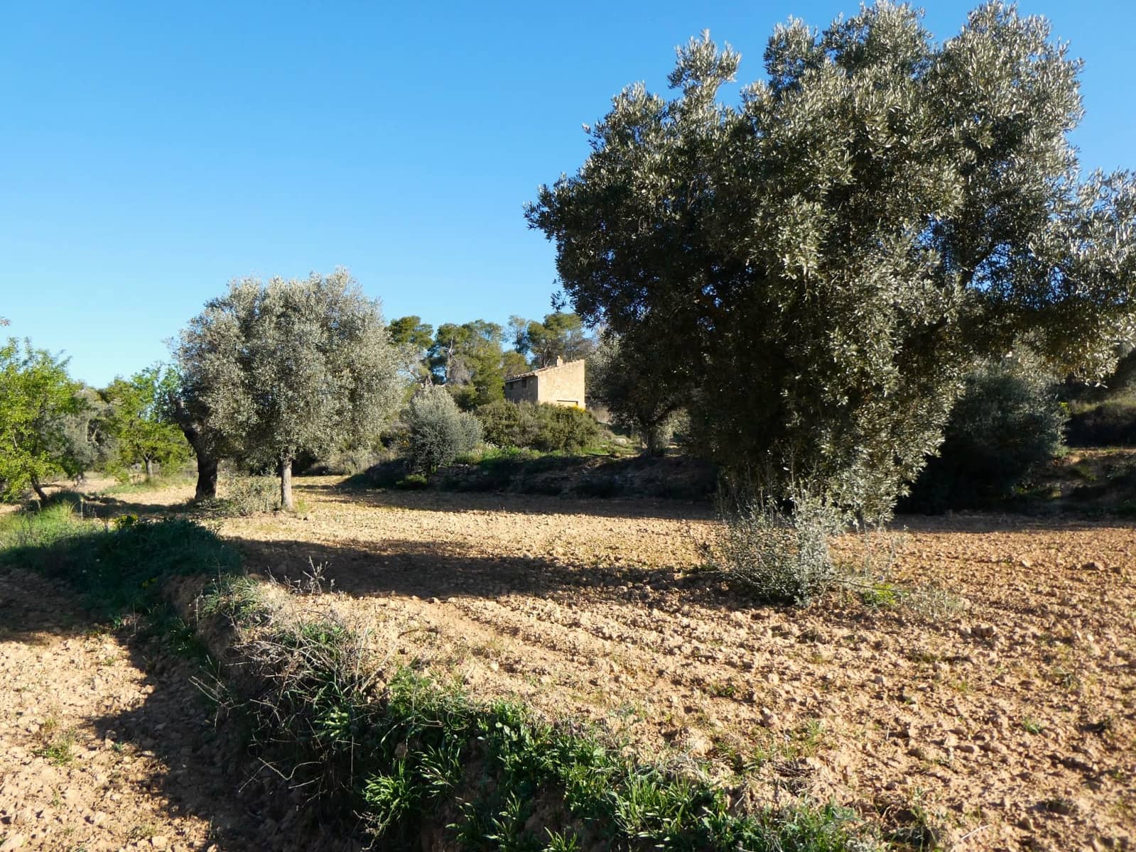 Quinta/Casa Rural para venda em Batea - 59 000 € (Ref: 9725121)