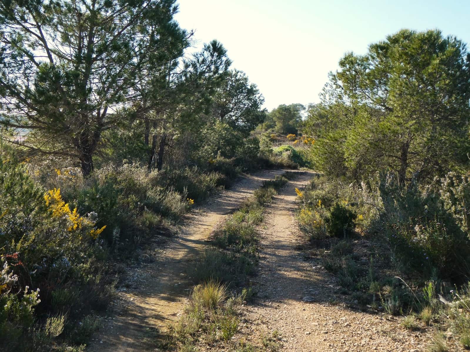 Quinta/Casa Rural para venda em Batea - 59 000 € (Ref: 9725121)
