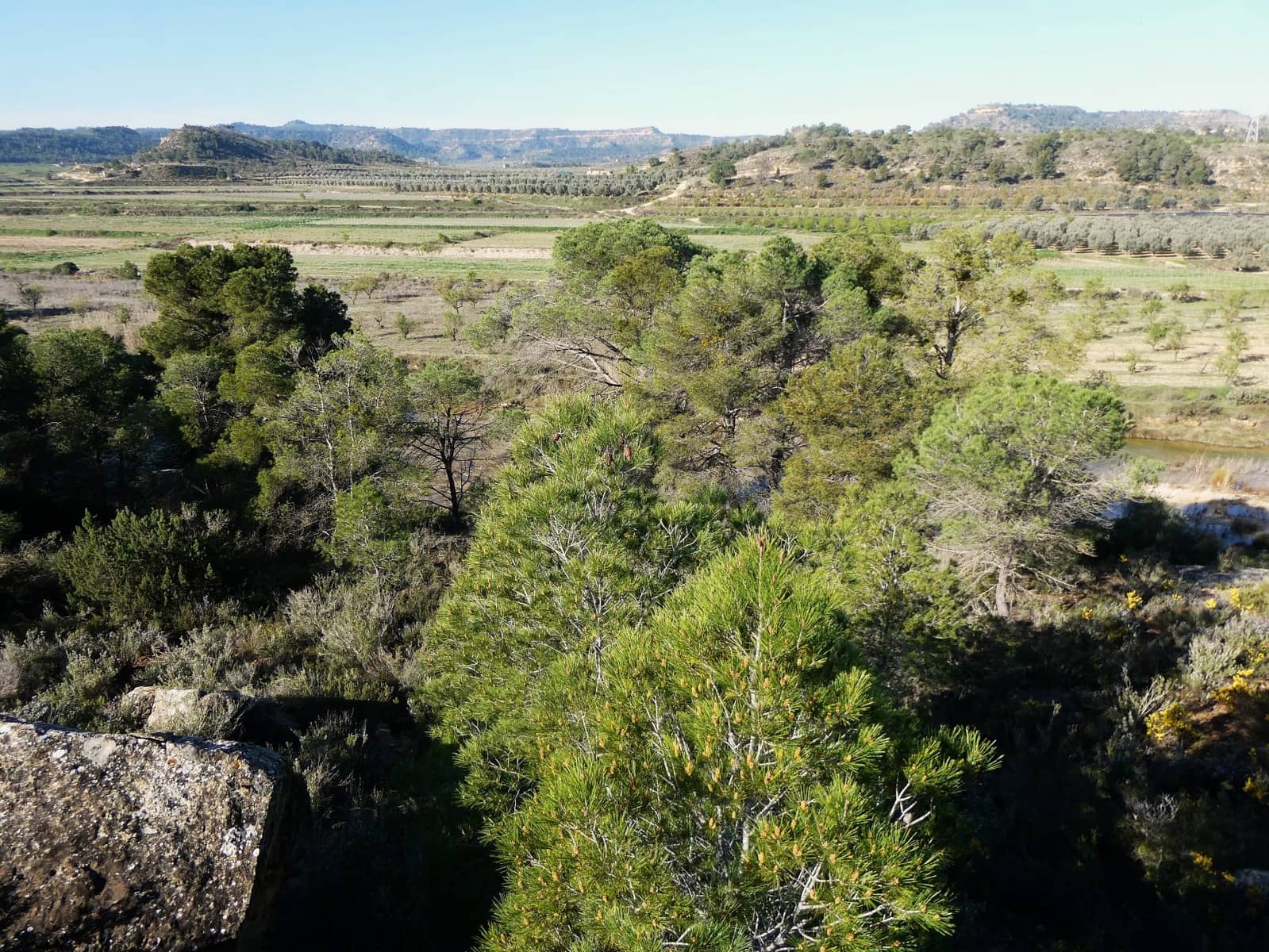 Quinta/Casa Rural para venda em Batea - 59 000 € (Ref: 9725121)