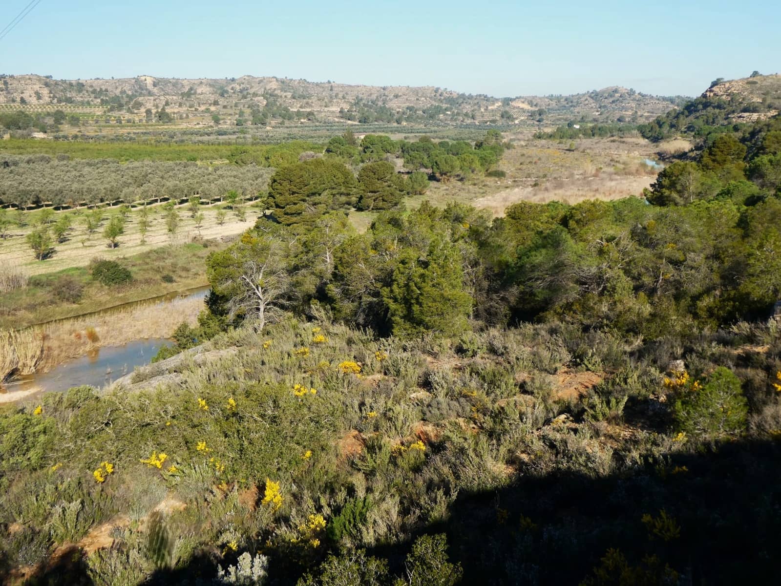 Quinta/Casa Rural para venda em Batea - 59 000 € (Ref: 9725121)