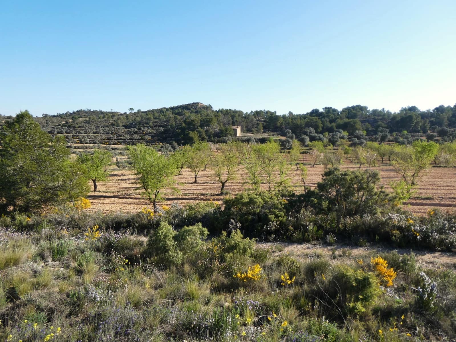 Quinta/Casa Rural para venda em Batea - 59 000 € (Ref: 9725121)