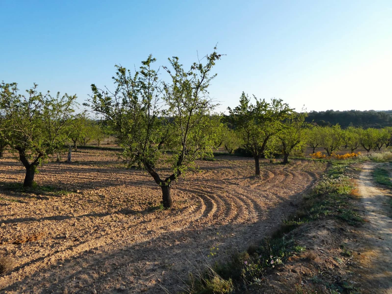 Quinta/Casa Rural para venda em Batea - 59 000 € (Ref: 9725121)