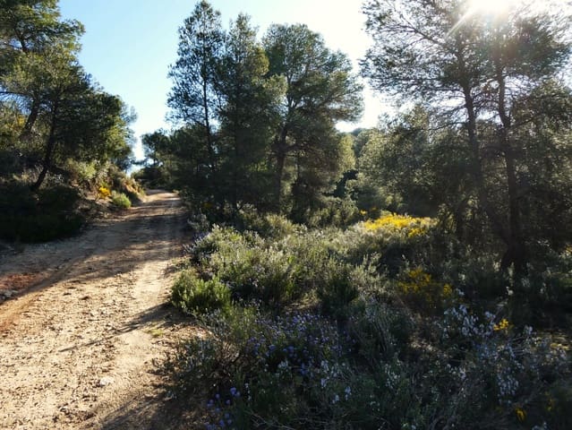 Quinta/Casa Rural para venda em Batea - 59 000 € (Ref: 9725121)