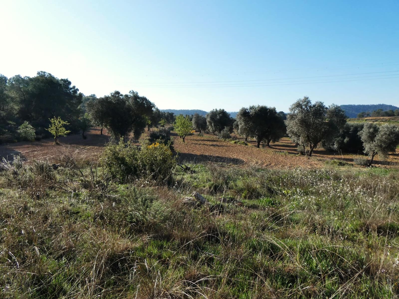 Quinta/Casa Rural para venda em Batea - 59 000 € (Ref: 9725121)