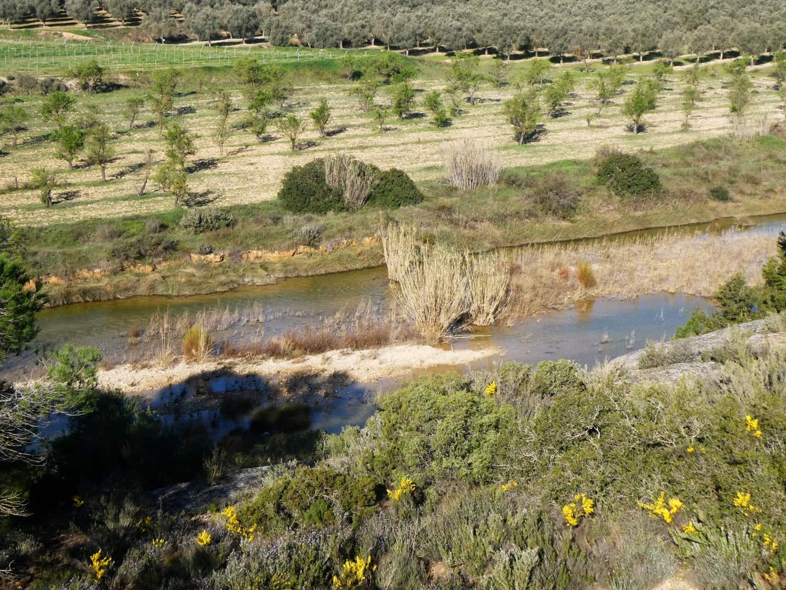 Quinta/Casa Rural para venda em Batea - 59 000 € (Ref: 9725121)