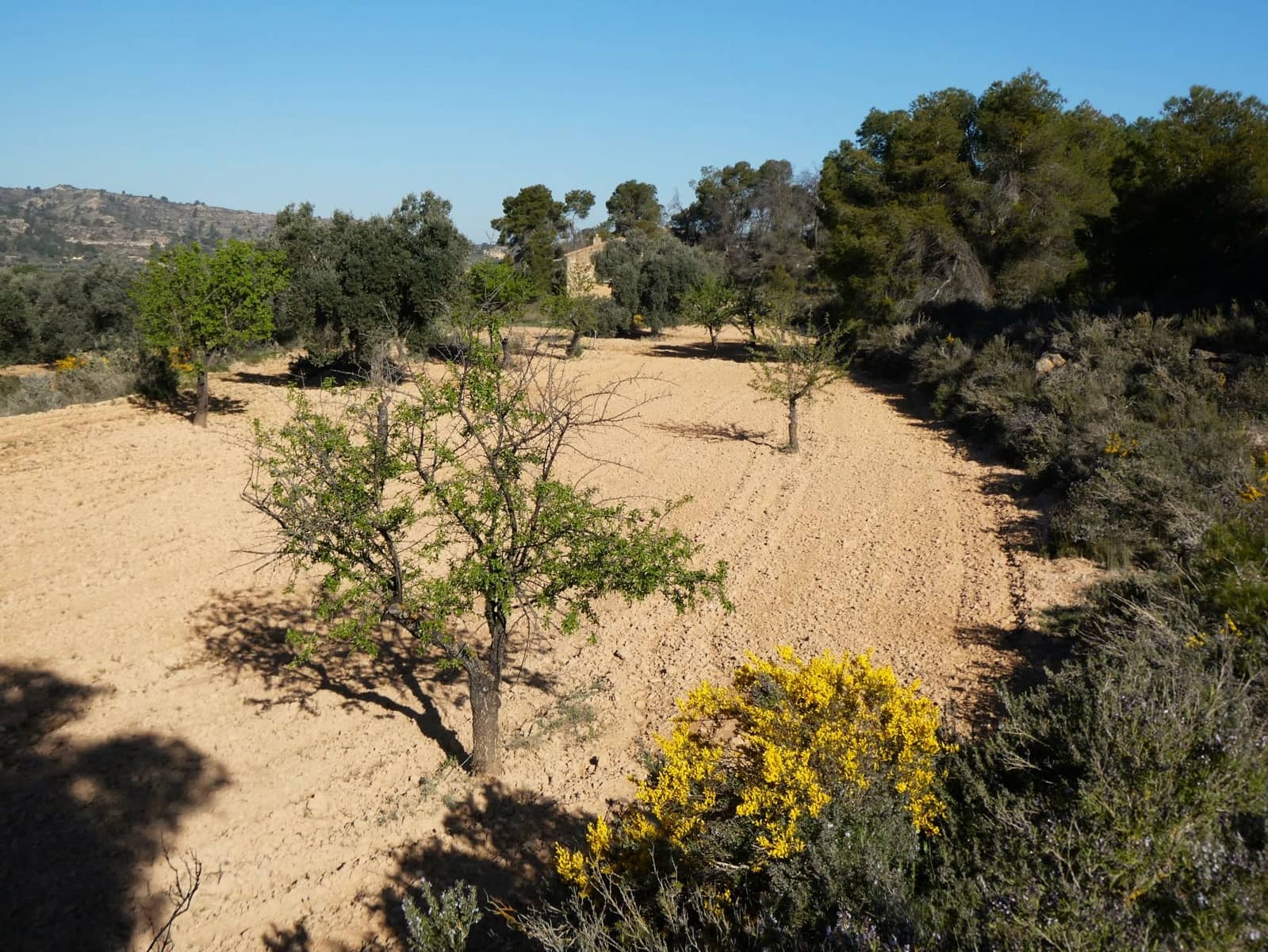 Quinta/Casa Rural para venda em Batea - 59 000 € (Ref: 9725121)