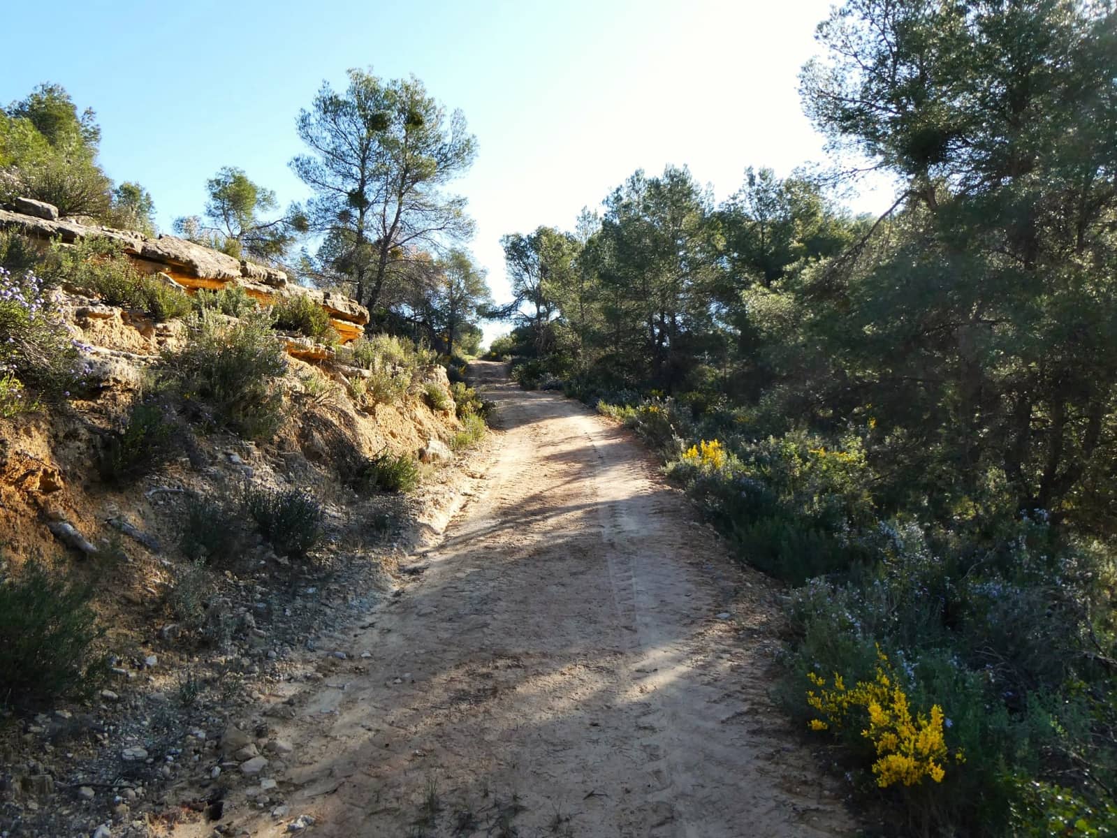 Quinta/Casa Rural para venda em Batea - 59 000 € (Ref: 9725121)