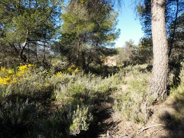 Quinta/Casa Rural para venda em Batea - 59 000 € (Ref: 9725121)