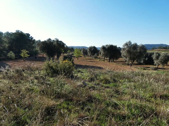 Quinta/Casa Rural para venda em Batea - 59 000 € (Ref: 9725121)