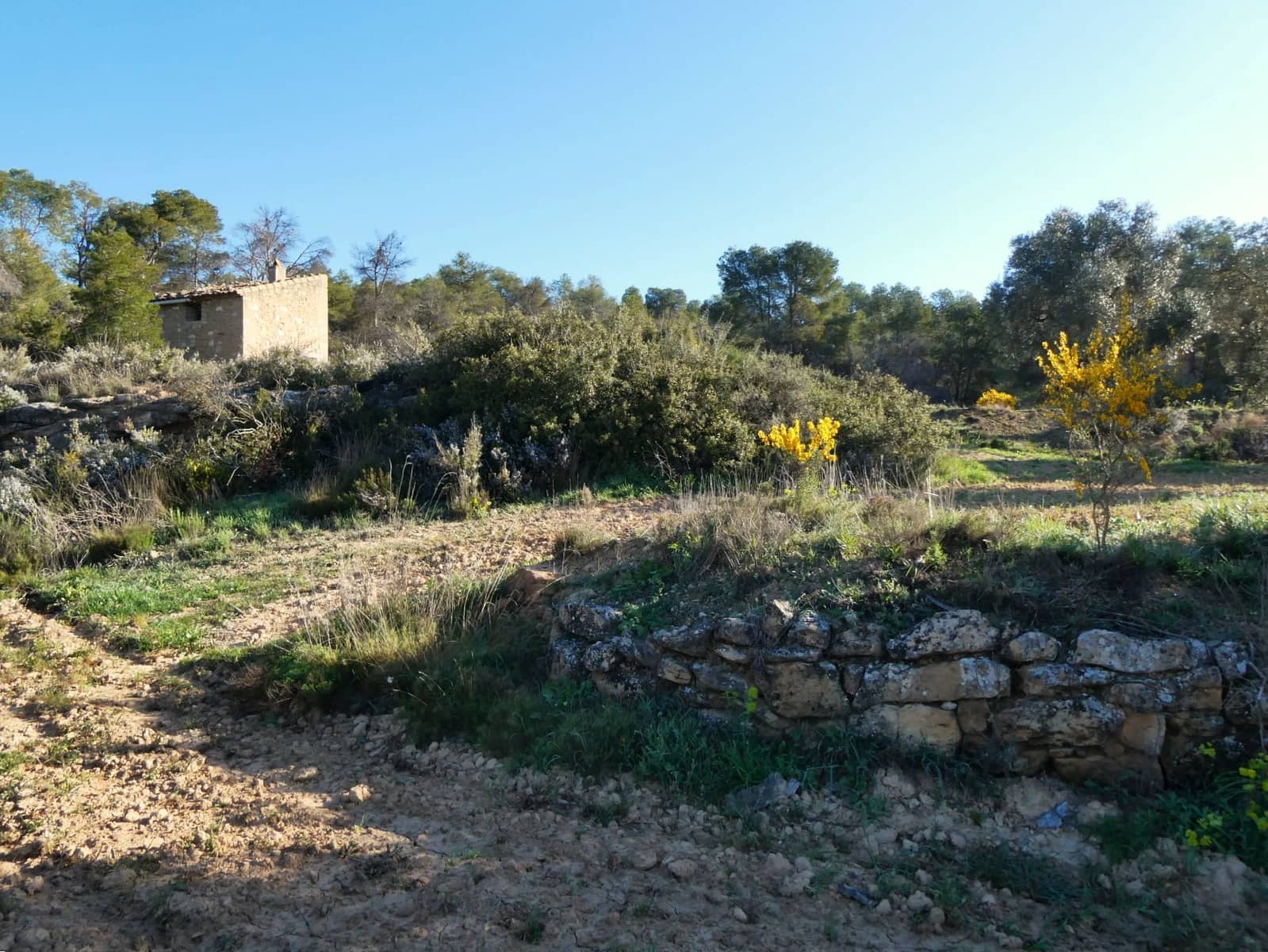Quinta/Casa Rural para venda em Batea - 59 000 € (Ref: 9725121)