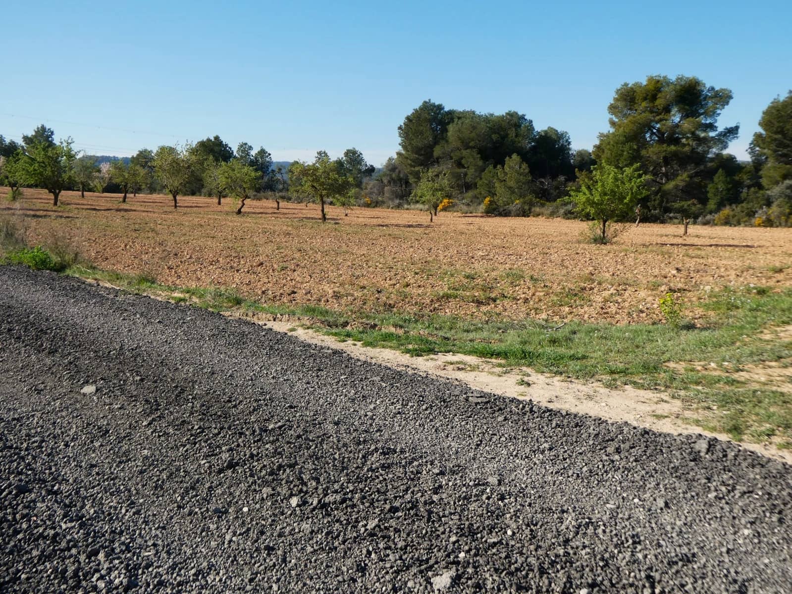 Quinta/Casa Rural para venda em Batea - 59 000 € (Ref: 9725121)