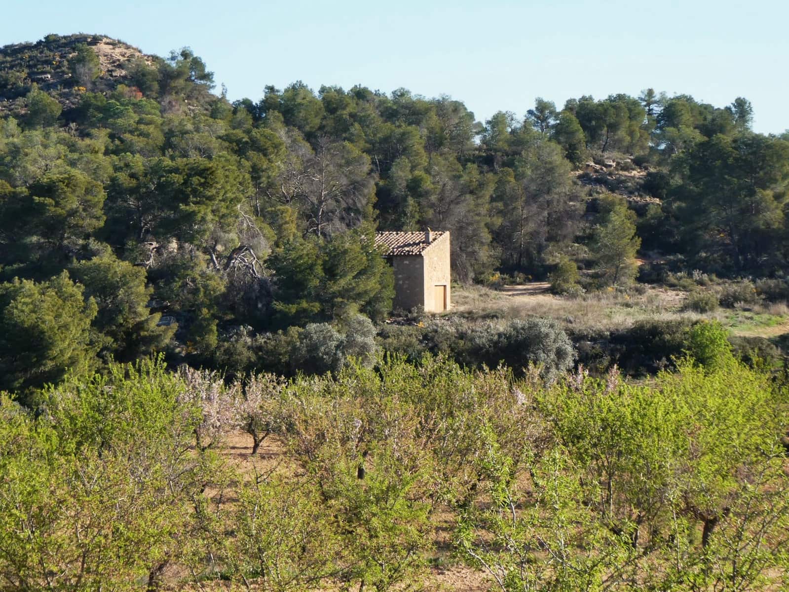 Finca/Herregård til salgs i Batea - € 56 000 (Ref: 9725121)