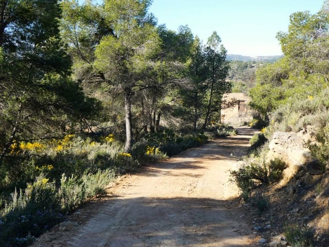 Finca/Herregård til salgs i Batea - € 56 000 (Ref: 9725121)