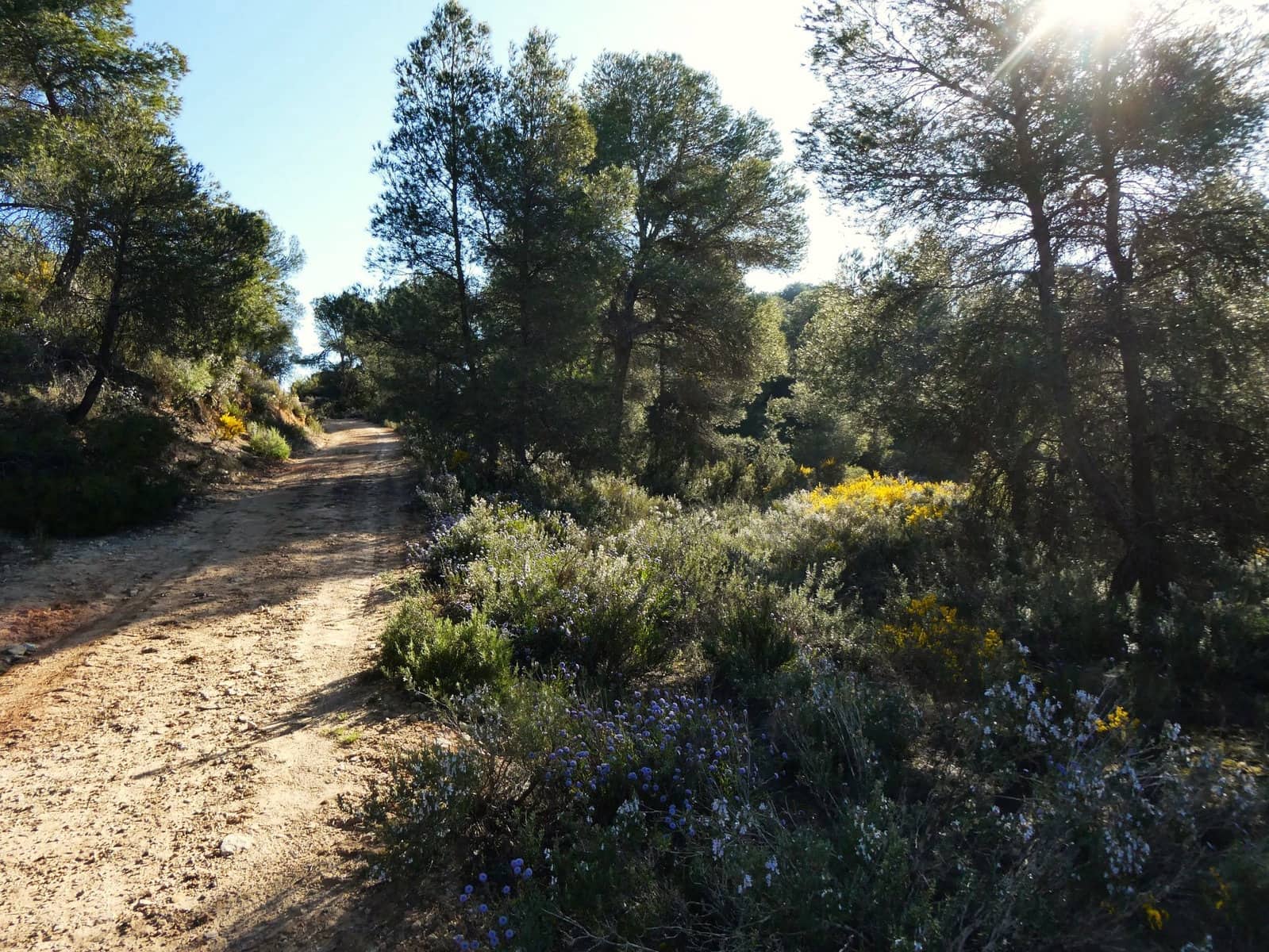 Finca/Herregård til salgs i Batea - € 56 000 (Ref: 9725121)