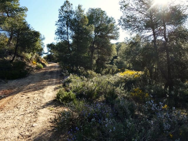 Finca/Herregård til salgs i Batea - € 56 000 (Ref: 9725121)