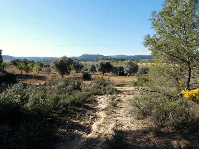 Finca/Herregård til salgs i Batea - € 56 000 (Ref: 9725121)