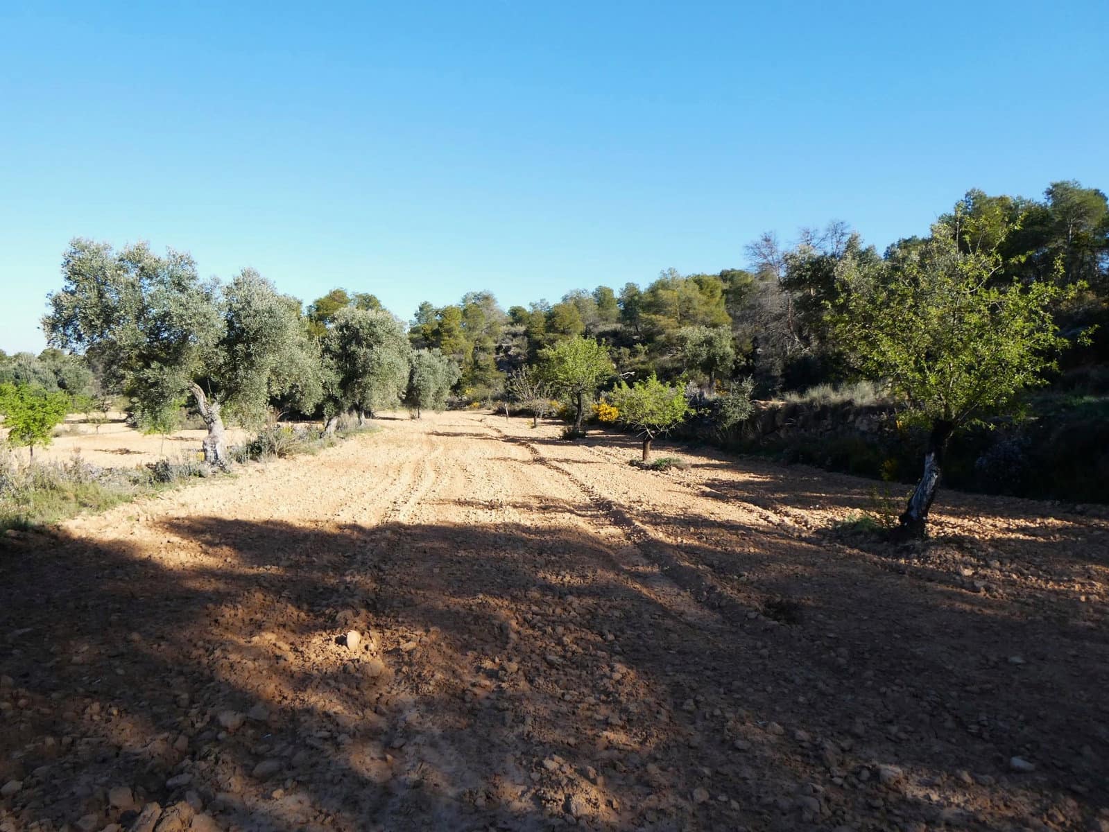 Finca/Herregård til salgs i Batea - € 56 000 (Ref: 9725121)