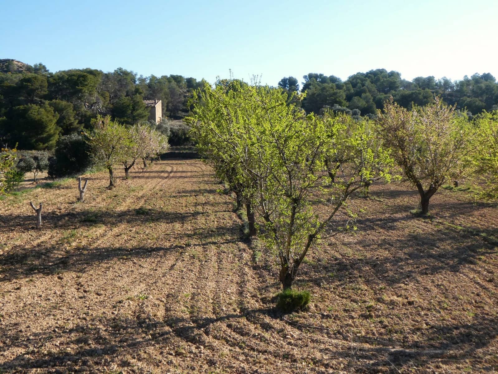 Finca/Herregård til salgs i Batea - € 56 000 (Ref: 9725121)