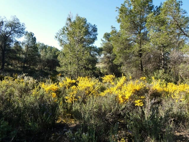Finca/Herregård til salgs i Batea - € 56 000 (Ref: 9725121)