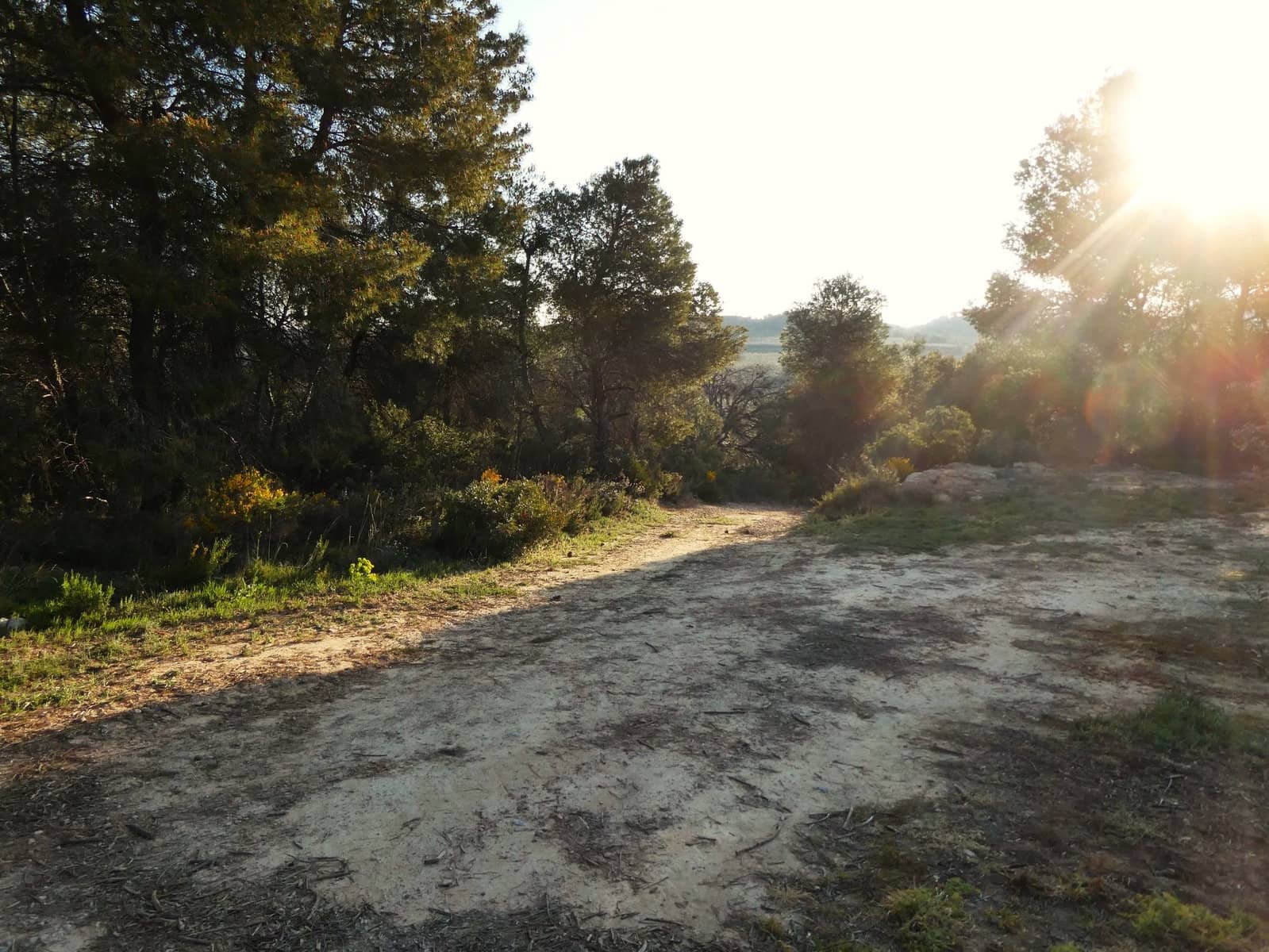 Finca/Herregård til salgs i Batea - € 56 000 (Ref: 9725121)
