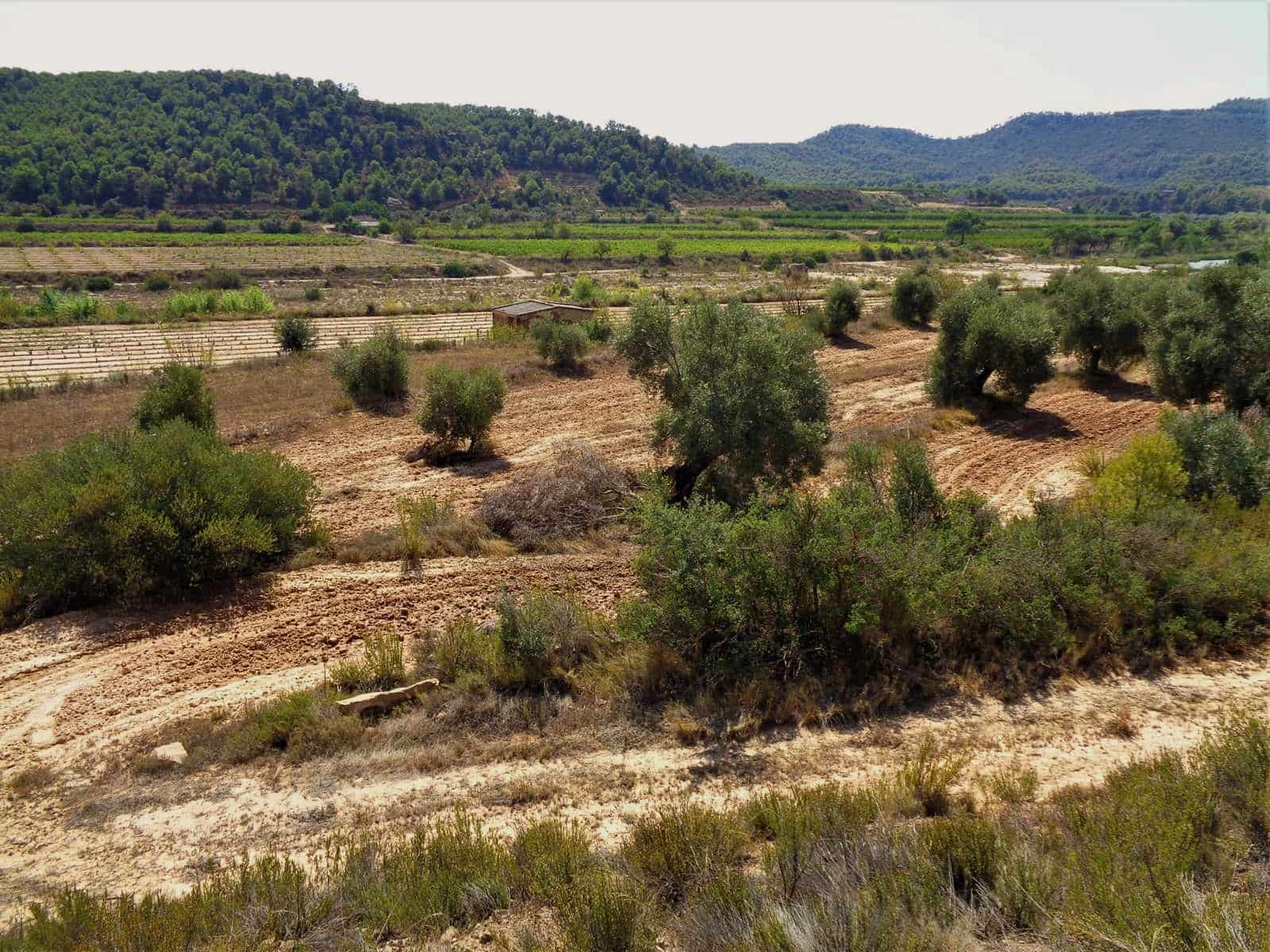 Finca/Country House for sale in Batea - € 45,000 (Ref: 9740080)