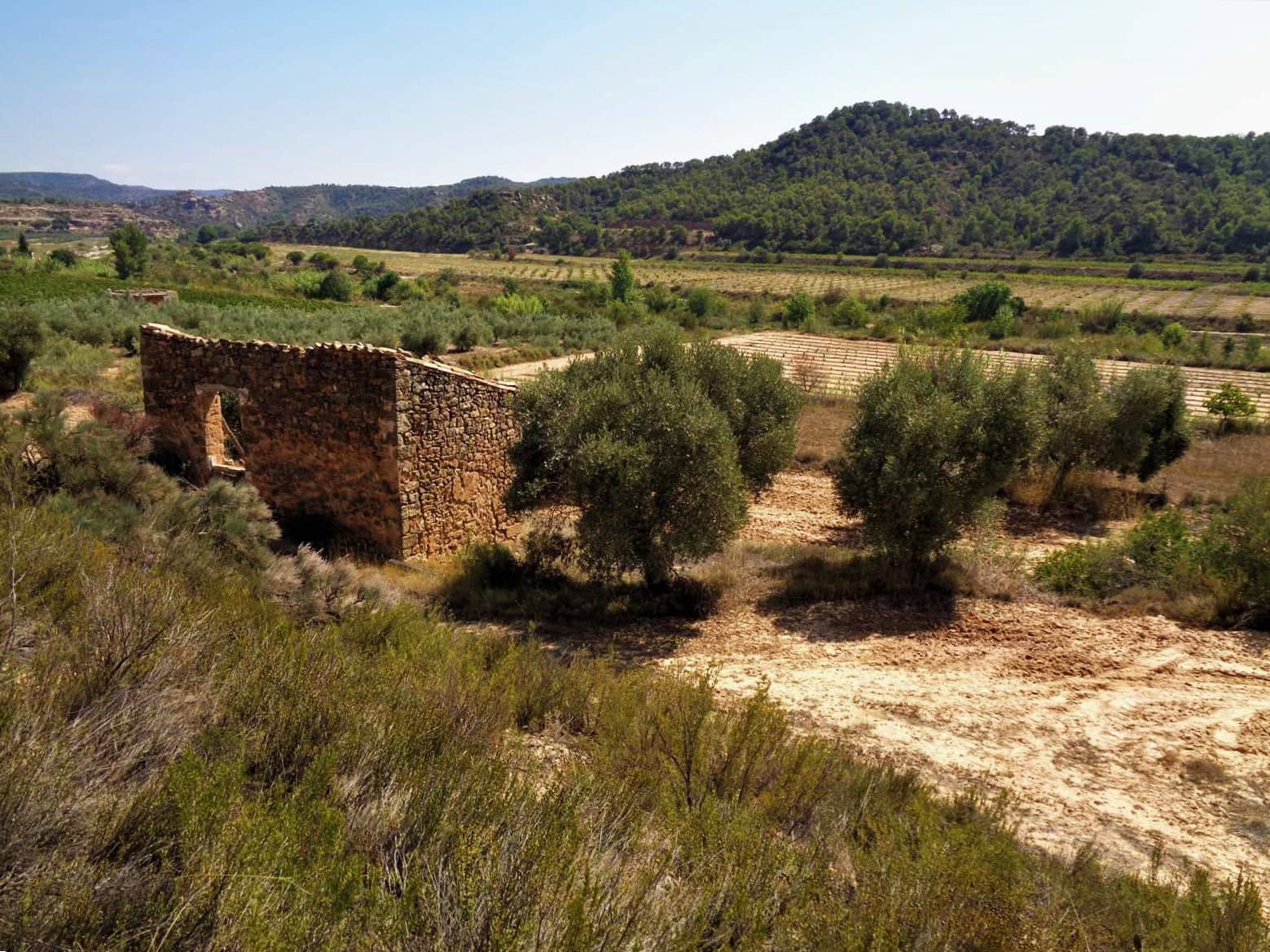 Finca/Country House for sale in Batea - € 45,000 (Ref: 9740080)