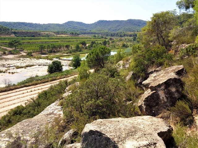 Finca/Country House for sale in Batea - € 45,000 (Ref: 9740080)