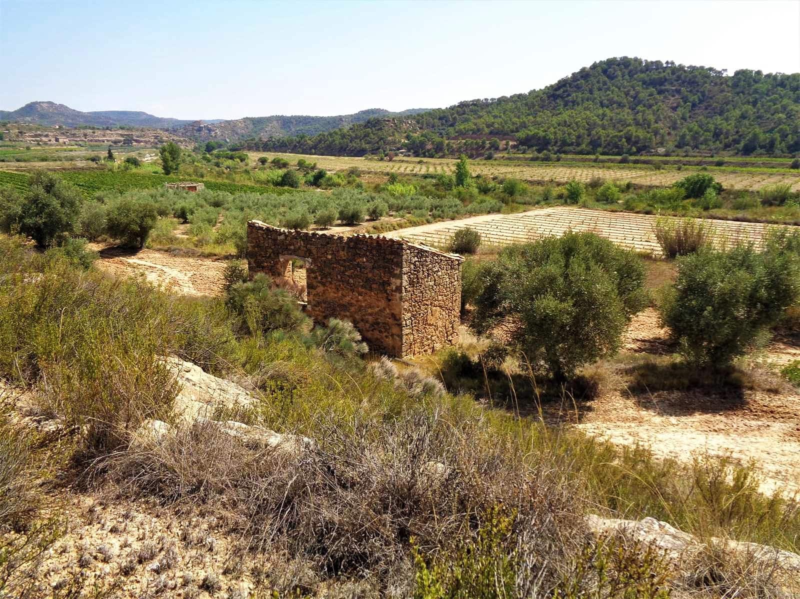 Finca/Country House for sale in Batea - € 45,000 (Ref: 9740080)