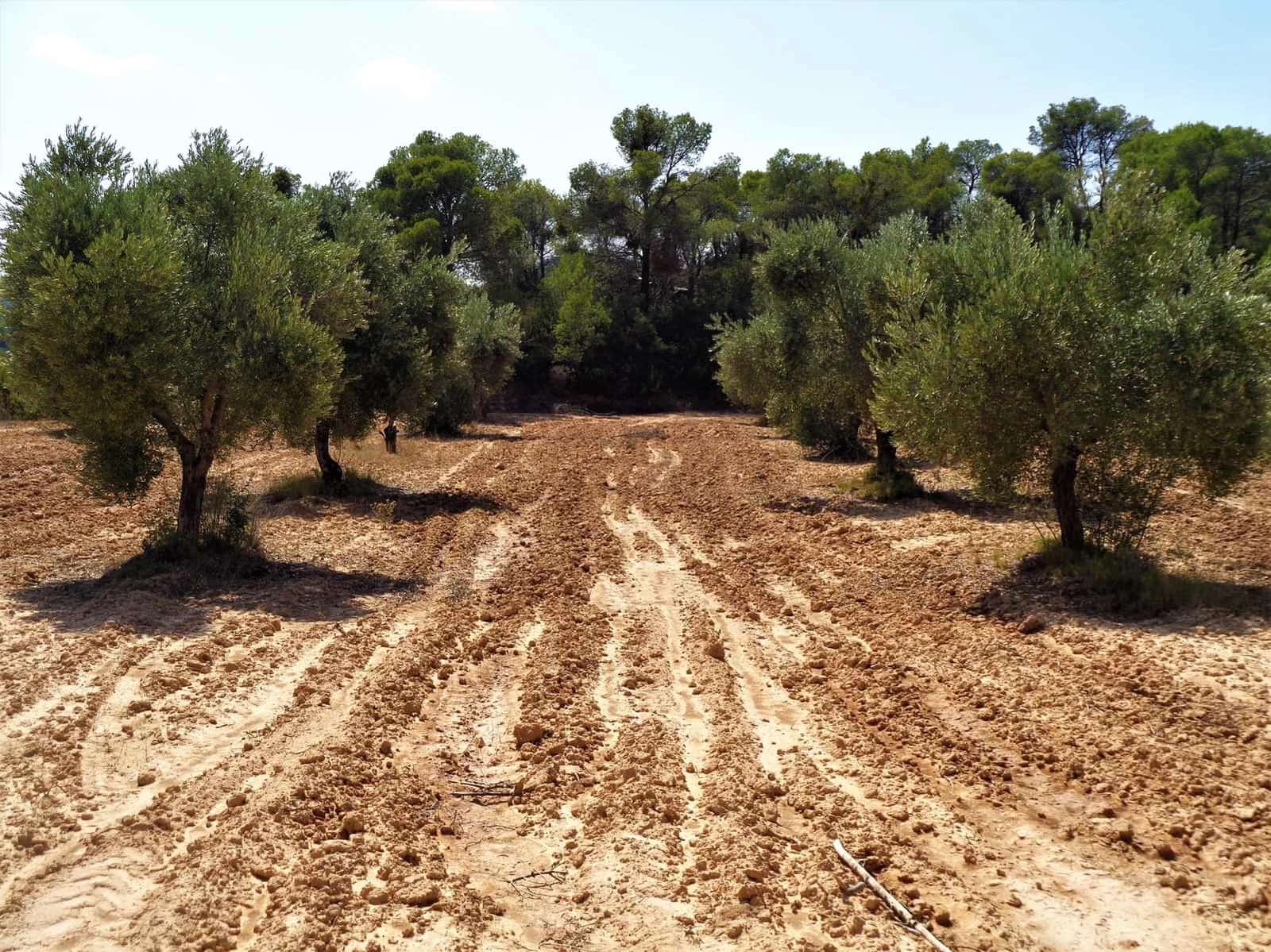 Finca/Country House for sale in Batea - € 45,000 (Ref: 9740080)