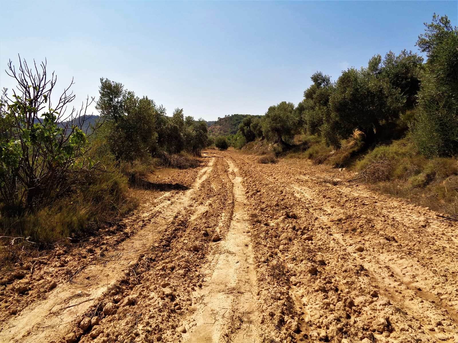 Finca/Country House for sale in Batea - € 45,000 (Ref: 9740080)