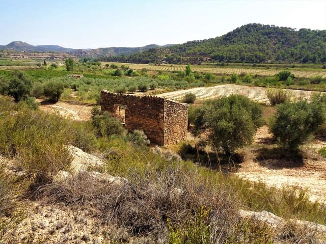 Finca/Country House for sale in Batea - € 45,000 (Ref: 9740080)
