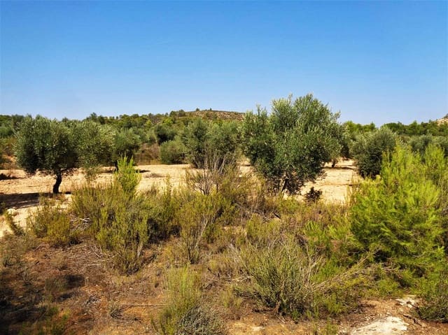 Finca/Country House for sale in Batea - € 45,000 (Ref: 9740080)