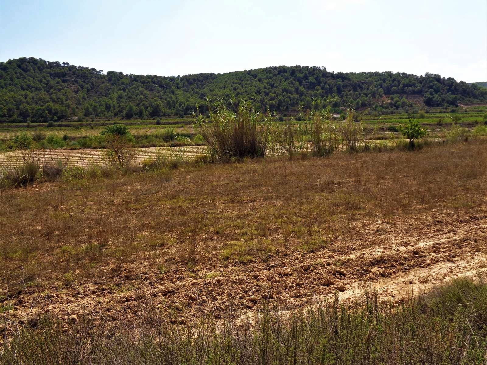 Finca/Country House for sale in Batea - € 45,000 (Ref: 9740080)