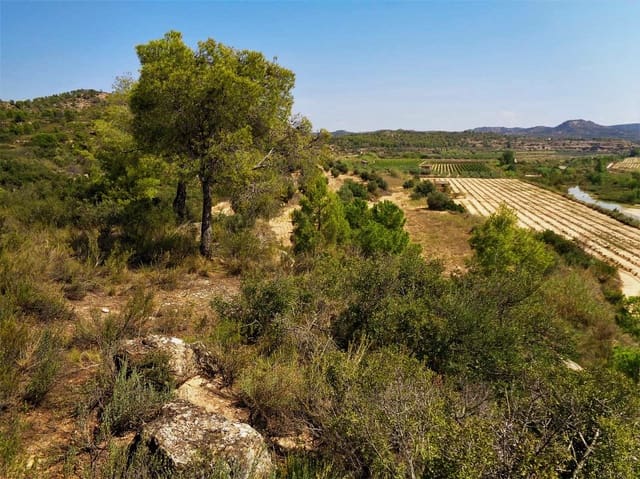 Finca/Country House for sale in Batea - € 45,000 (Ref: 9740080)