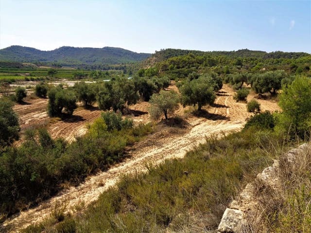 Finca/Country House for sale in Batea - € 45,000 (Ref: 9740080)