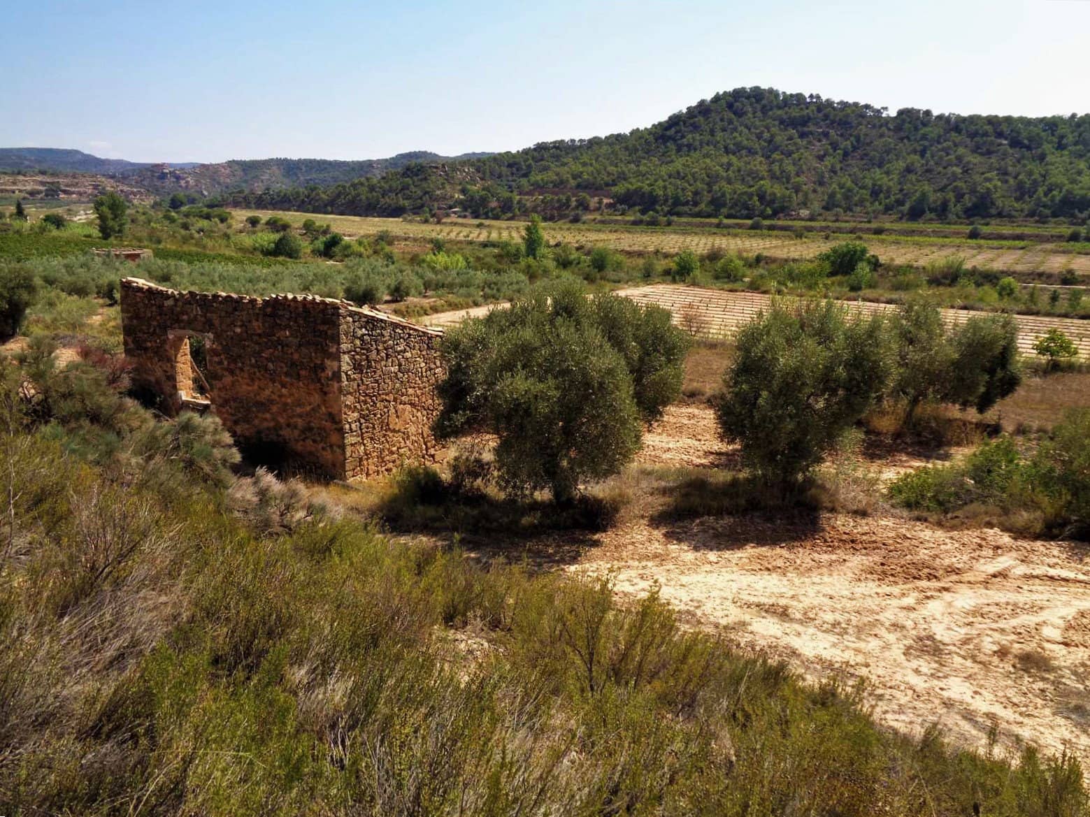Finca/Country House for sale in Batea - € 39,000 (Ref: 9740080)