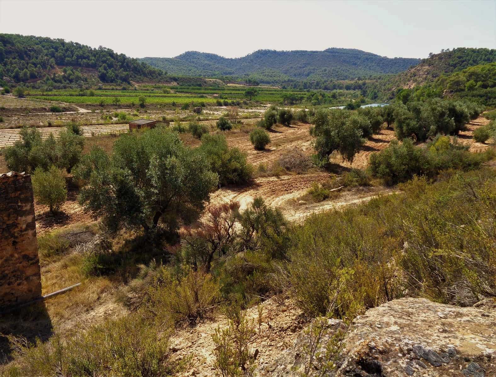 Finca/Country House for sale in Batea - € 39,000 (Ref: 9740080)